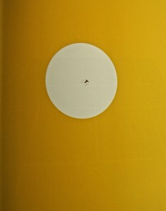 Egg Vie from The Other Side